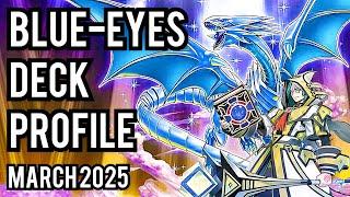 TOP 4! Blue-Eyes Invoked Deck Profile! MARCH 2025!