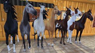 NEW American Saddlebred Summer Horses At Camp Western