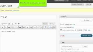 How to write a new post in WordPress - Wordpress Tutorials at KVCHOSTING
