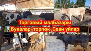 Мал базар.24.07.24г/ ГИВ.350билет калды.250сом АРЗАН. 0555-94-44-05 ватсап ушуга жазыңыздар.