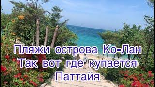 Пляжи о. Ко-Лан. Паттайя. Как добраться? Какой пляж выбрать? Есть ли жизнь под водой?