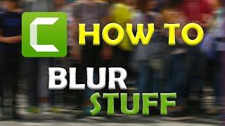 Camtasia Studio 10: How to Blur Sensitive Information