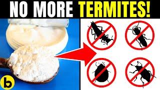 6 Super-Effective Ways To Get Rid Of Termite Infestation