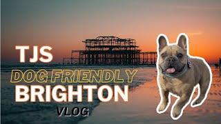 Our dog friendly weekend in Brighton - TJ The Frenchie Vlog