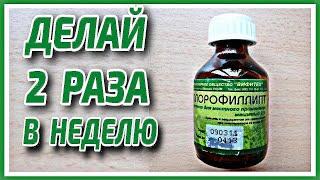 У Меня НЕТ Морщин! Наношу Перед Сном - Утром Идеальная кожа лица без пятен и морщин! Рецепт маски.