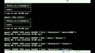 MySQL - Inserting Data - BASH - Linux