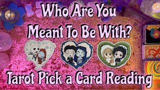 Who Are You Meant To Be With? Tarot Pick a Card Love Reading