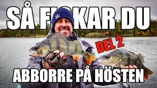 Lär dig fiska ABBORRE på hösten! Abborrfiske med Håkan Fransson - Del 2