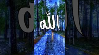 beautiful video #islamic #viral #tiktok #youtubeshorts