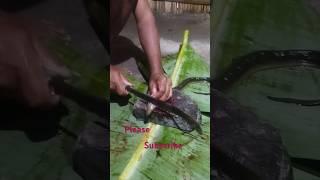 #shots kuchi fish tasty kuchi fish making process