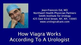 How Viagra Works... According To A Urologist