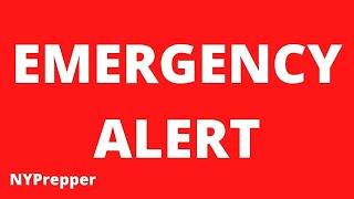 EMERGENCY ALERT!! U.S. NUCLEAR FORCES SPOOKED LAST NIGHT!! EGYPT MASSING FORCES IN THE SINAI!!