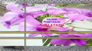 Trailer Pengetahuan Flora & Fauna Channel