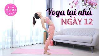 Yoga Tại Nhà | Ngày 12 | Hye Yoga