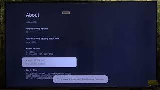 How to Enable Developer Options on XIAOMI TV A Pro 2025