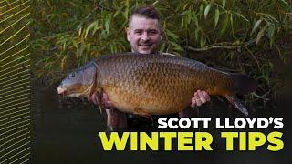 Scott Lloyd's Winter Carp Fishing Tips and Tricks