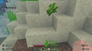 The Struggle Moving Villagers In Minecraft are Real! Lol