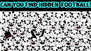 Awesome EYE PUZZLES AND RIDDLES || Find the hidden OBJECT game || Eye Test || Photo Puzzles