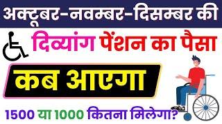 अक्टूबर नवंबर दिसंबर की दिव्यांग पेंशन कब आएगी | UP Divyang Pension Kab Aaegi 2024 | Viklang Pension