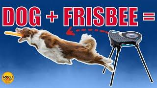 The Best Dog Toy for Playing Frisbee - the Franklin Sports Disc Launcher