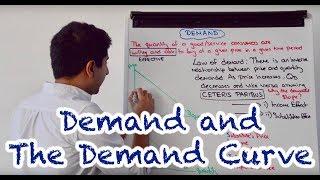 Y1 3) Demand and the Demand Curve