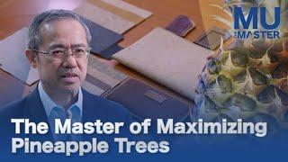 The Master of Maximizing Pineapple Trees | MU The Master