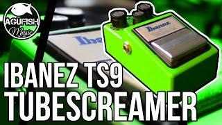 Ibanez TS9 Tube Screamer Demo | Absolutely Legendary Overdrive Sound!!