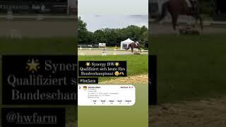 www.HWfarm.com presents Synergy HW qualified for the Bundeschampionat!