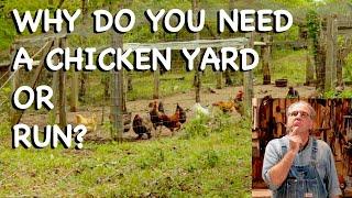 Why Do You Need a Chicken Yard or Run? - FHC Q & A