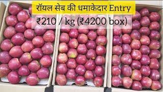 Royal Apple Entry in 2024 Market | Himalayan Farming | Live Update