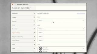 Option selector