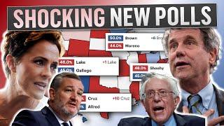 2024 US Senate Map Predictions Based on the Latest Poll in EVERY RACE!