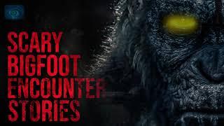 SCARY BIGFOOT ENCOUNTER STORIES | CRYPTID STORIES 2020