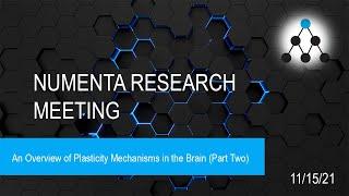 An Overview of Plasticity Mechanisms in the Brain (Part Two) - 15 November, 2021