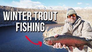 Winter Trout In The Eastern Sierra | Epic Fishing at Pleasant Valley Reservoir | Bishop CA | 4K