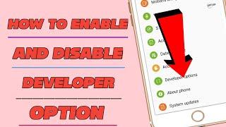 How to enable and disable developer option