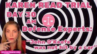 Karen Read Trial Day 30Defense ExpertsCrash Daddies & Dr. SheridanPhysics doesn't lie: no MVA