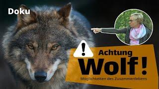 Achtung Wolf! Möglichkeiten eines Zusammenlebens | #wolf #wölfe #weidetiere #hessen #artenschutz