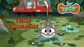 In the forest | Zip Zip English | Full Episodes | 1H | S1 | Cartoon for kids