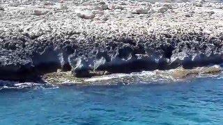 The rocky coast of the island of Cyprus!