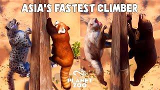 Snow Leopard, Red Panda, Japanese Macaque, Sun Bear | Planet Zoo Animals Climbing Race