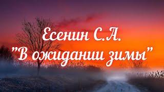 Есенин С.А. В ожидании зимы (Под осенними осинками…)