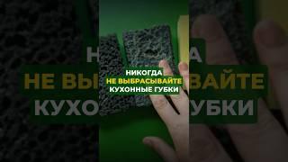 Иногда не выбрасывайте кухонные губки#цветы#сад