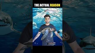 The Actual Reason  Viral Trending Video | VFX Shorts #shorts #vfx #viral #trending #funny #comedy 