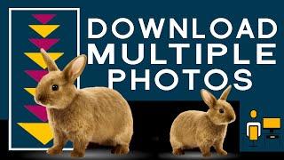 Download Multiple Images At Once From Any Site