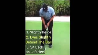 Tiger Woods Basic Putting  Position