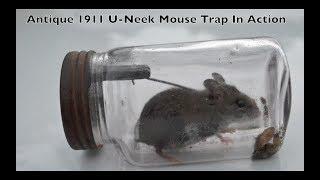 Rare Antique 1911 U-Neek Jar Mouse Trap In Action. Mouse Trap Monday