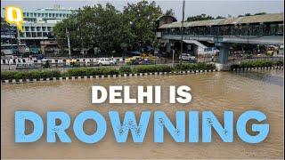 Yamuna Floods Delhi, Residential Areas Submerged | The Quint