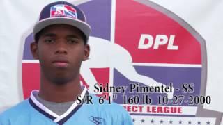 Sidney Pimentel SS / 2017 DPL profile