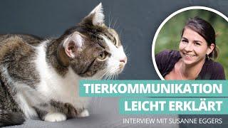 Tierkommunikation leicht erklärt - Interview mit Expertin Susanne Eggers
